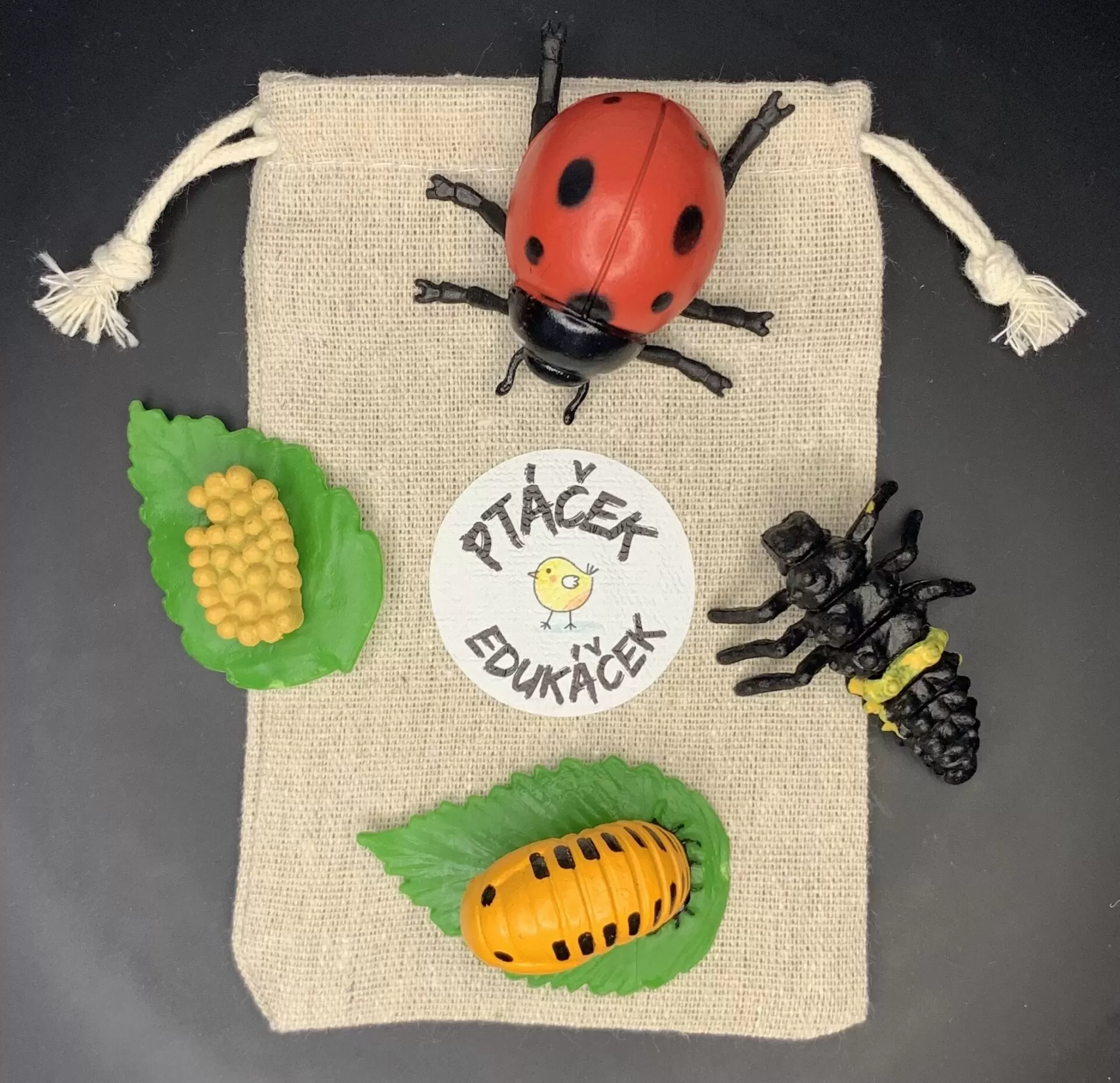 Vývojová hračka pro děti Beruška