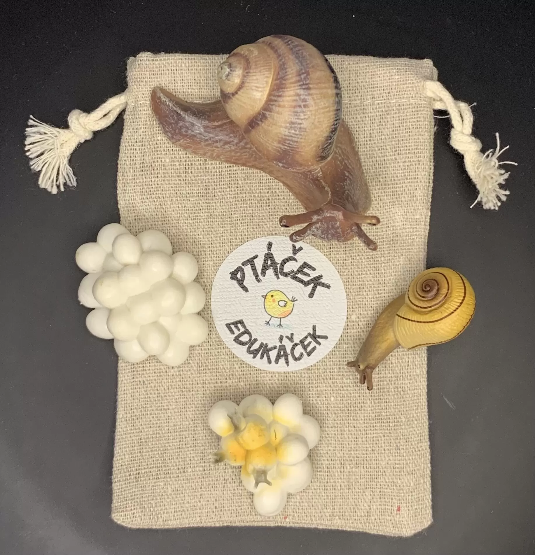 Vývojová hračka pro děti Šnek