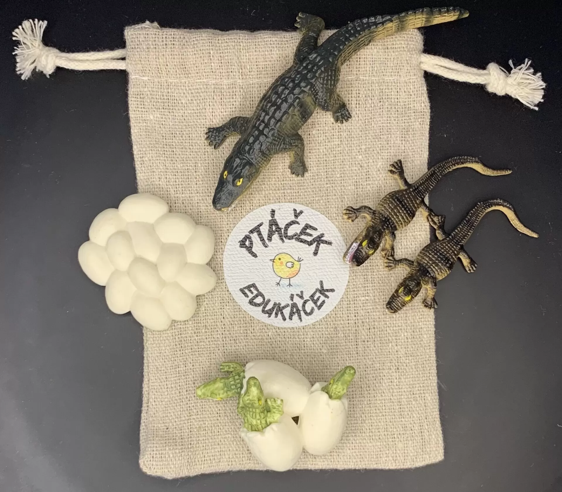 Vývojová hračka pro děti Krokodýl