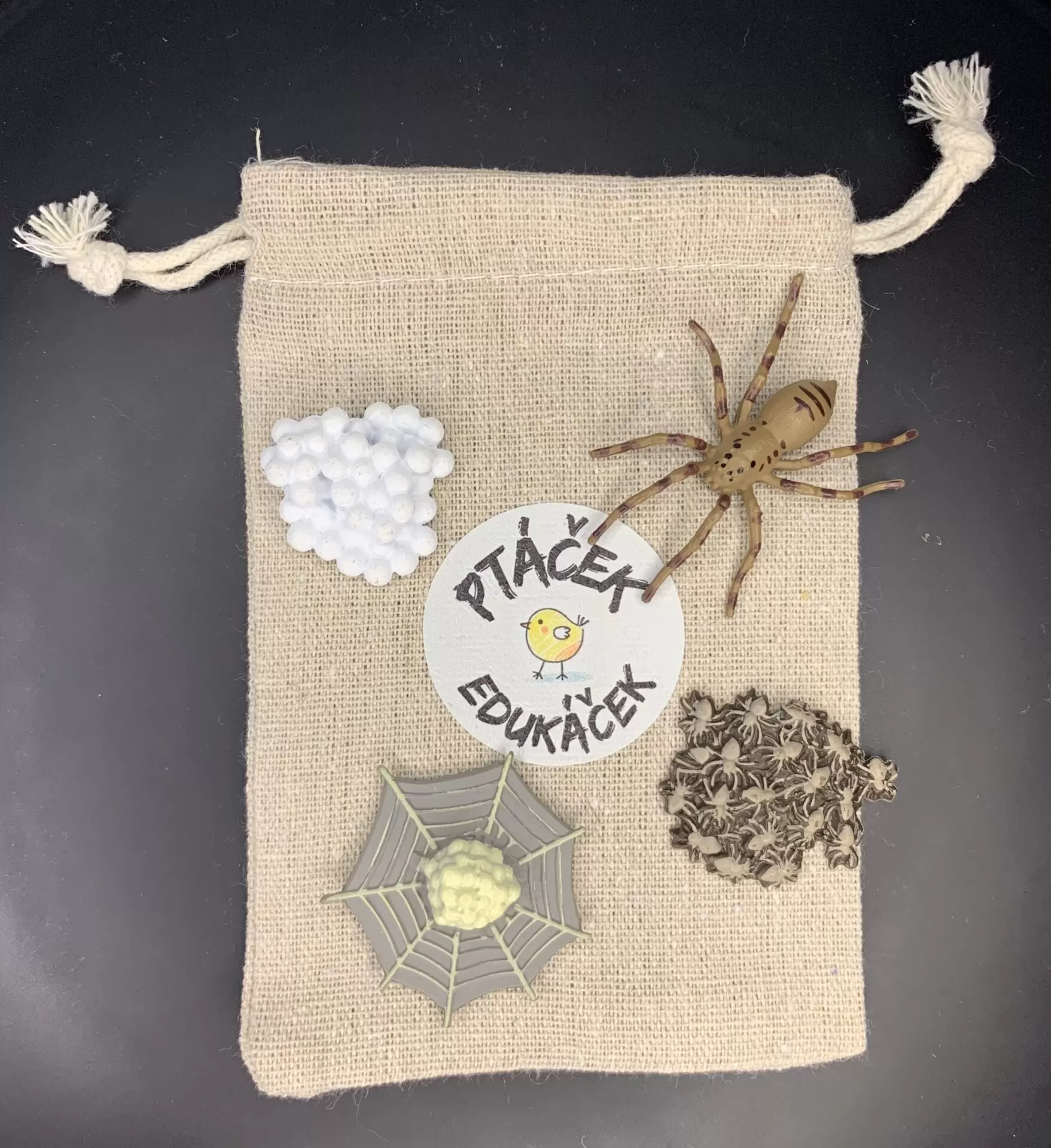 Vývojová hračka pro děti Pavouk