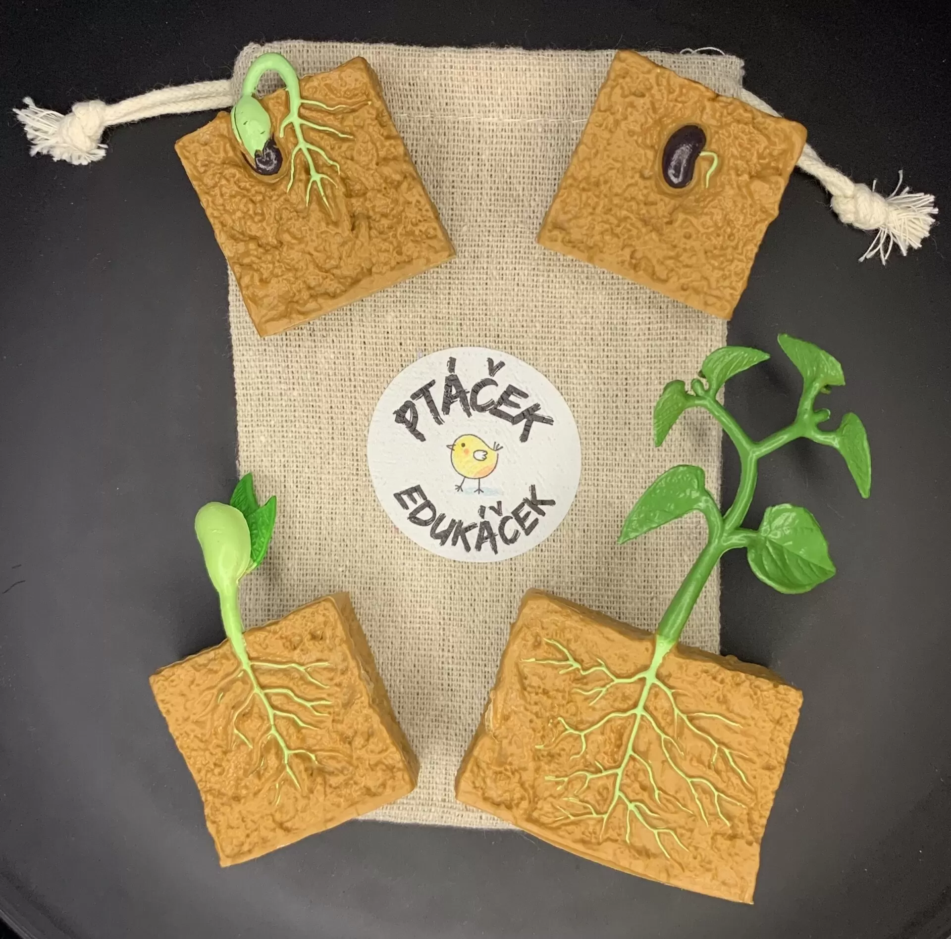 Vývojová hračka pro děti Rostlina