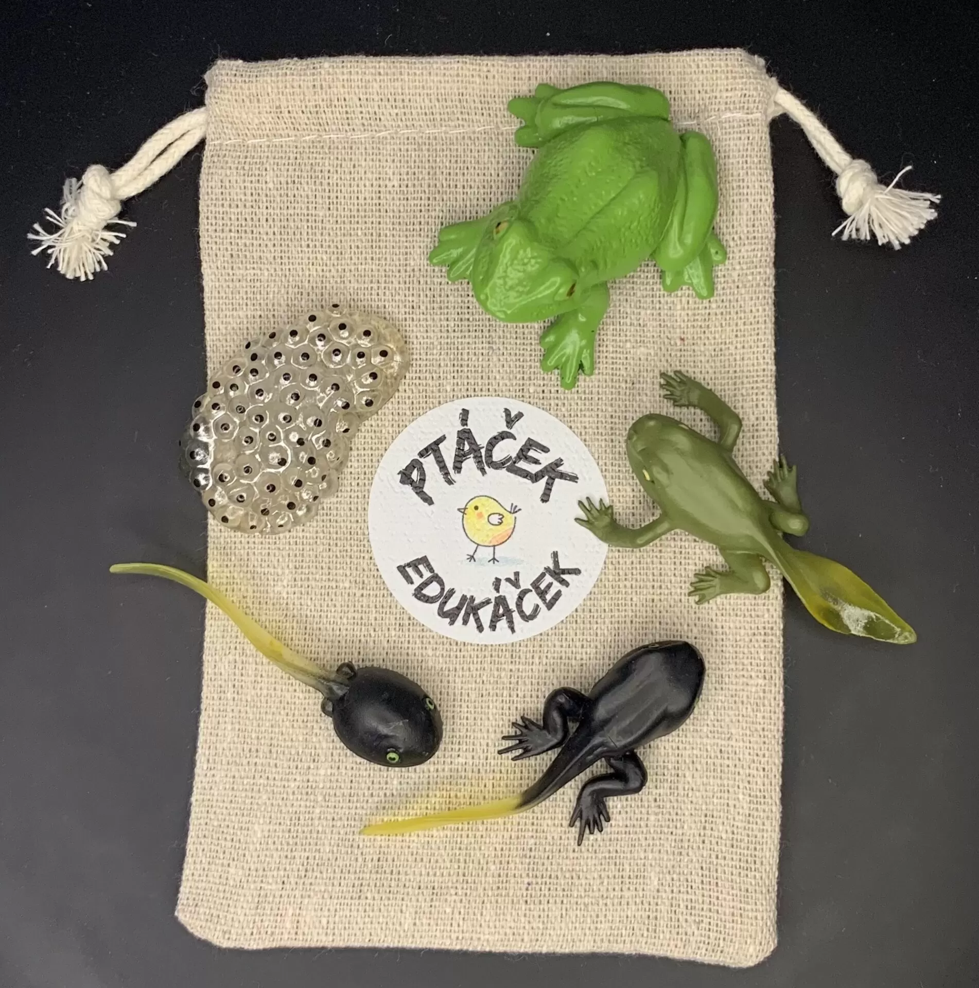 Vývojová hračka pro děti Žába