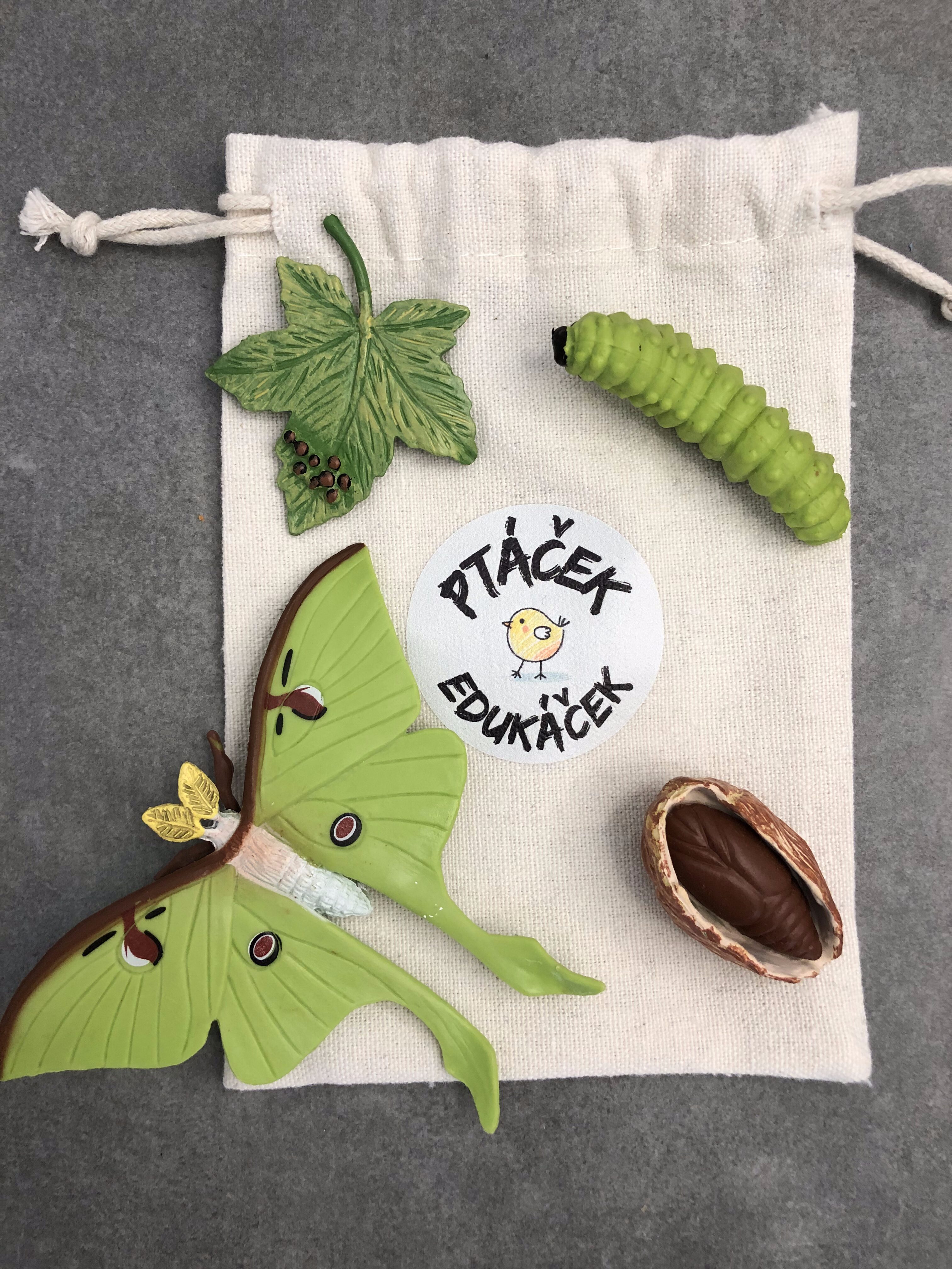 životní cyklus noční můry. Montessori a hravé učení dětí.